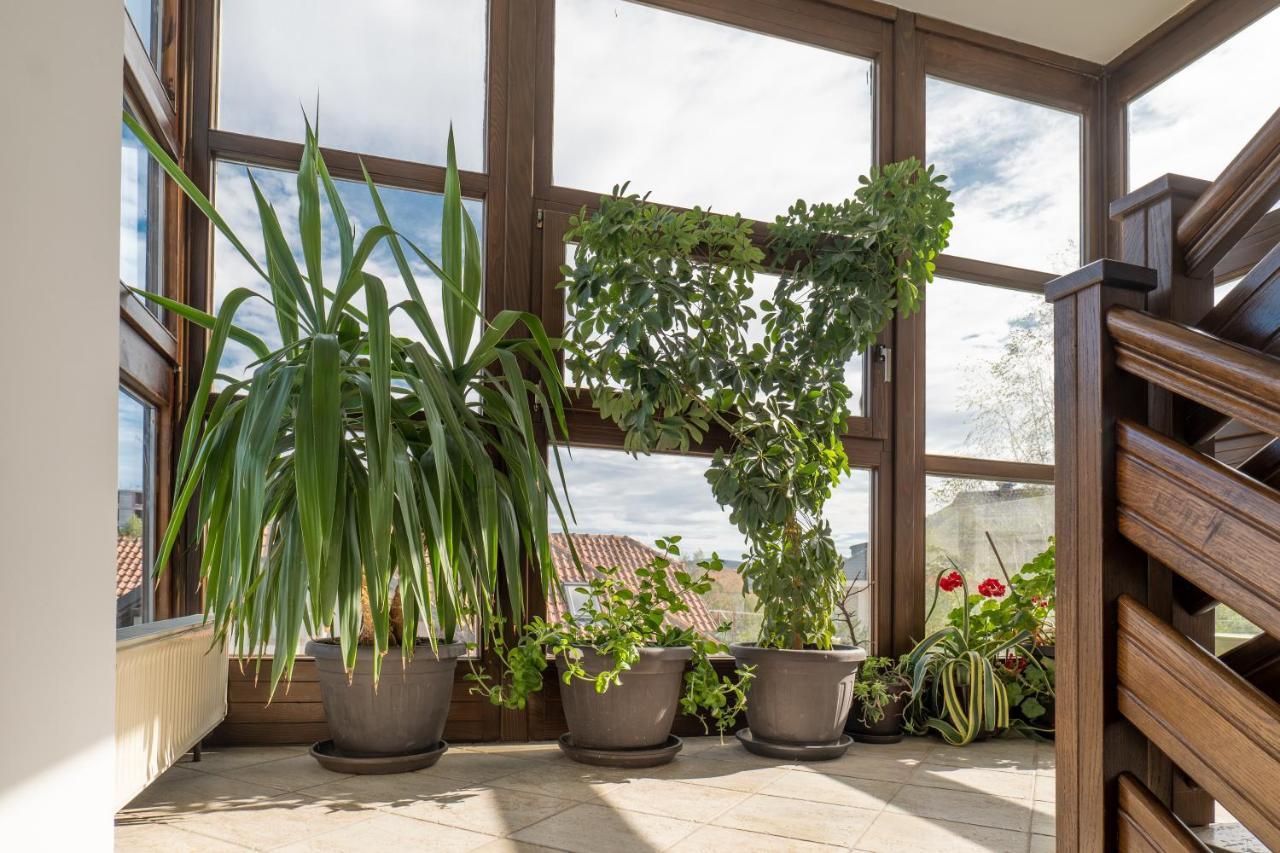 Protekal Wellness & Spa Zlatibor Kültér fotó